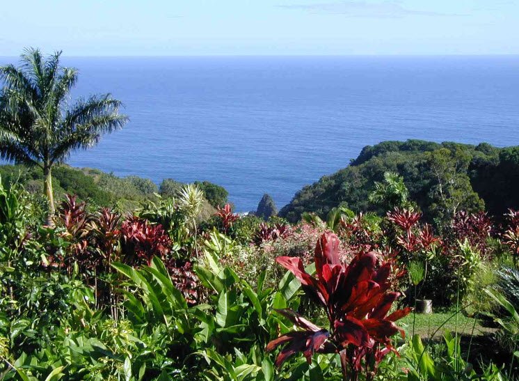 Maui Nui Botanical Gardens, United States